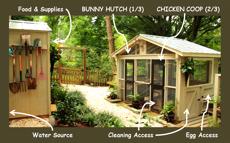 Our Chicken Coop Design Layout Floorplan Redeem Your Ground