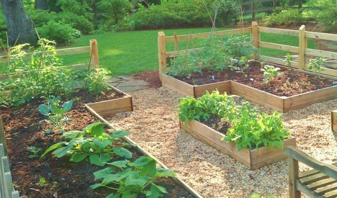 Starting Your Family Vegetable Garden - Redeem Your Ground 