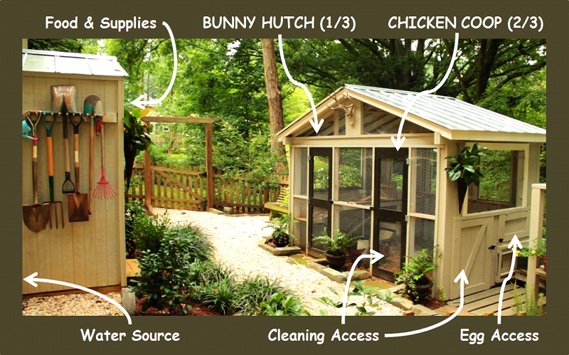 chicken pen layout