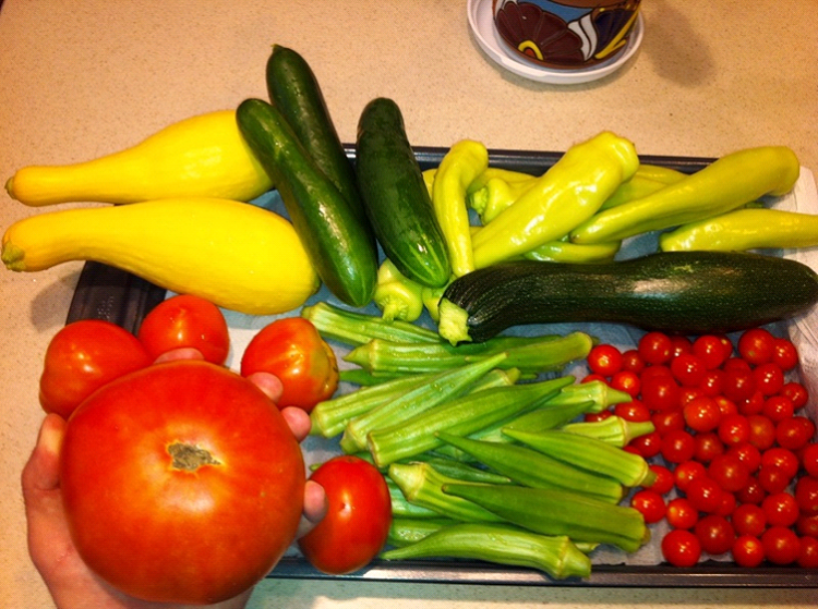Harvest from the Family Vegetable Garden - Redeem Your Ground | RYGblog.com