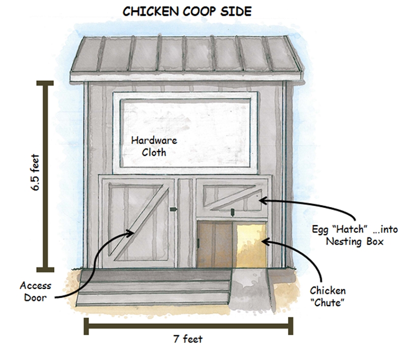Hutch_Coop Right Elevation