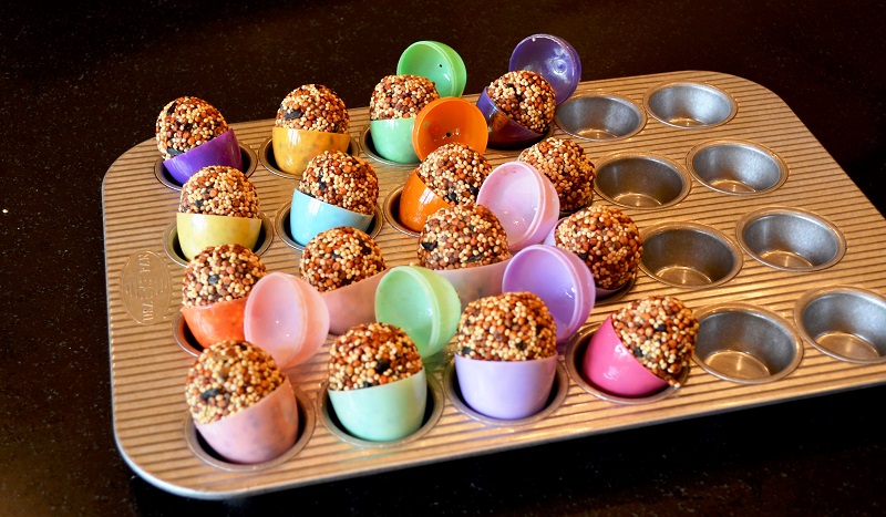 Easter Egg Birdseed Ornaments - Redeem Your Ground | RYGblog.com