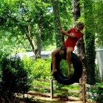 There’s Just Something about a Tire Swing