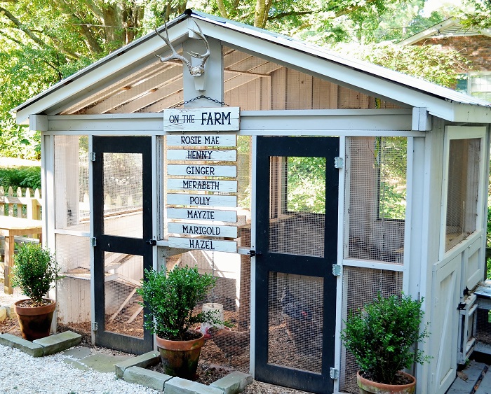 Backyard Chickens DIY Sign - Redeem Your Ground | RYGblog.com