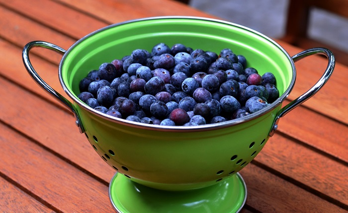 Blueberry Pie Recipe - Redeem Your Ground | RYGblog.com