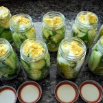 Easy Mustard Pickle Recipe…Try It, You’ll Like It!