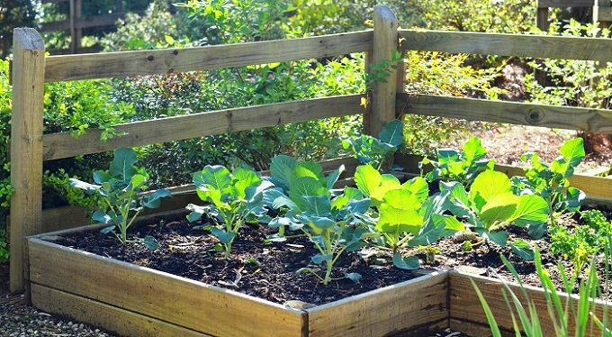 Material Options for Raised Beds - Redeem Your Ground | RYGblog.com