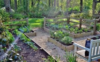 How to Prepare for Your Fall Vegetable Garden