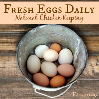 How to Care for Chickens in Winter - Fresh Eggs Daily® with Lisa Steele