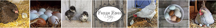 Fresh Eggs Daily | Fresh-Eggs-Daily.com - Redeem Your Ground | RYGblog.com