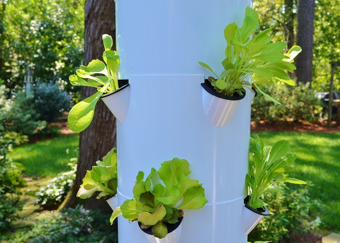 Veggie Garden Diversification…The Tower Garden ® - Redeem Your Ground