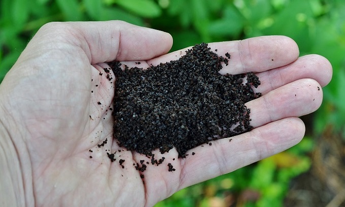 Using Coffee Grounds in Your Garden - Redeem Your Ground | Redeem Your Ground