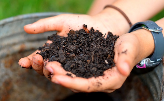 Using Coffee Grounds in Your Garden - Redeem Your Ground | RYGblog.com