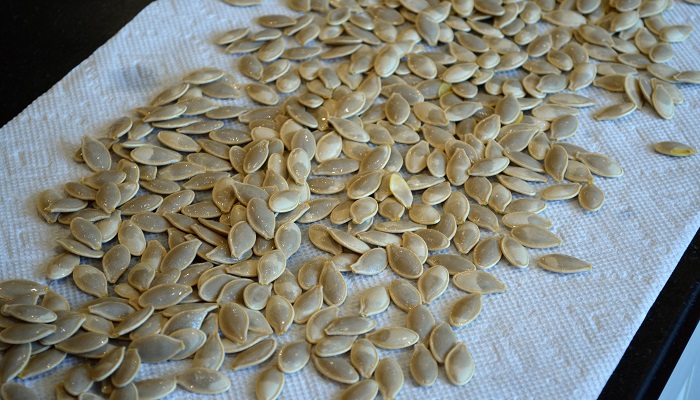 Easy Pumpkin Seed Recipes - Redeem Your Ground | RYGblog.com