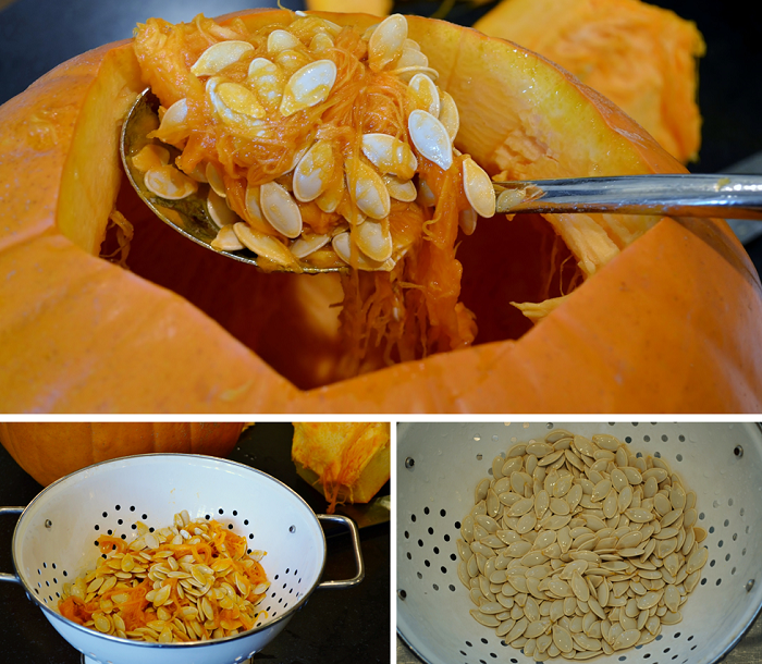 Easy Pumpkin Seed Recipes - Redeem Your Ground | RYGblog.com