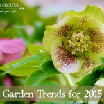 Garden Trends 2015