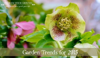 Garden Trends 2015 - Redeem Your Ground | RYGblog.com