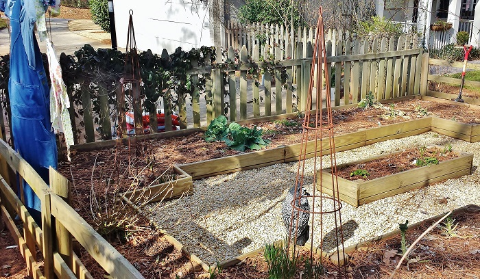 February Gardening To-Do List - Redeem Your Ground | RYGblog.com