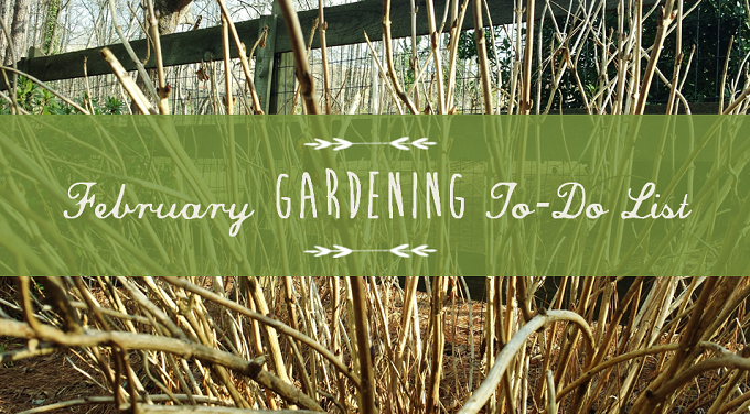 February Gardening To-Do List - Redeem Your Ground | RYGblog.com