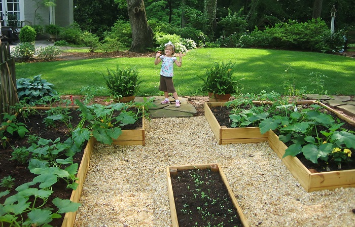 Advantages and Disadvantages of Raised Beds - Redeem Your Ground | RYGblog.com