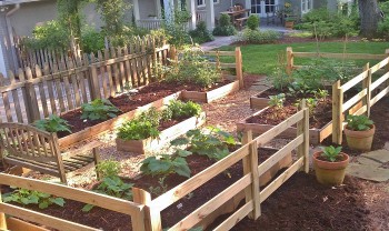 Advantages and Disadvantages of Raised Beds - Redeem Your Ground ...