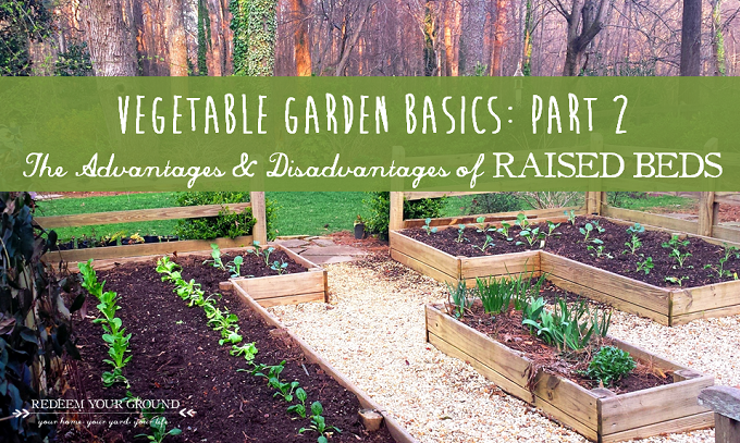 Vegetable Garden Basics - Redeem Your Ground | RYGblog.com