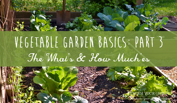 Vegetable Garden Basics: Part 3 - The What's & How Much'es - Redeem ...