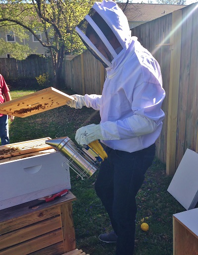 Beekeeping Basics - Redeem Your Ground | RYGblog.com