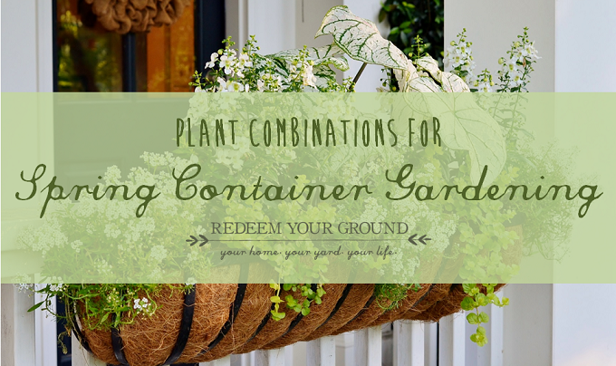 Spring Container Gardening Plant Combinations - Redeem Your Ground | RYGblog.com