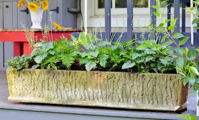 Spring Container Gardening Plant Combinations - Redeem Your Ground | RYGblog.com