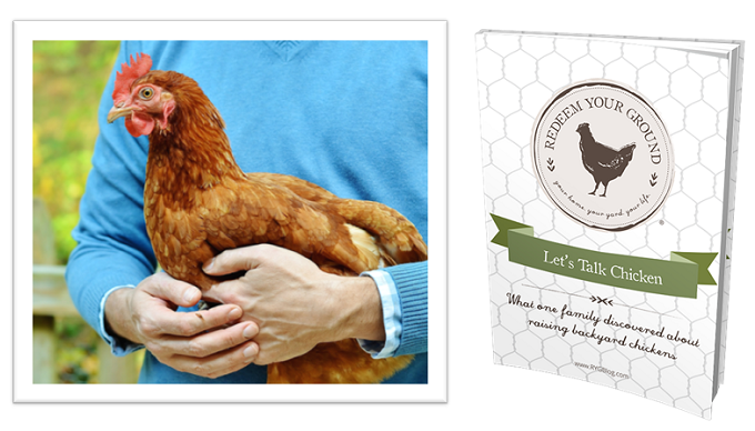 RYG Chicken eBook - Redeem Your Ground | RYGblog.com 