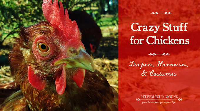 Crazy Stuff for Chickens - Redeem Your Ground | RYGblog.com