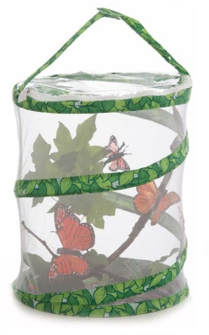 Butterfly Nursery - Redeem Your Ground | RYGblog.com