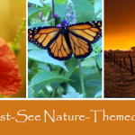 3 Must-See Nature-Themed Time Lapse Videos