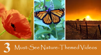3 Must-See Nature-Themed Time Lapse Videos - Redeem Your Ground | RYGblog.com