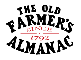 Starting from Seeds - Old Farmer's Almanac & Redeem Your Ground | Almanac.com & RYGblog.com