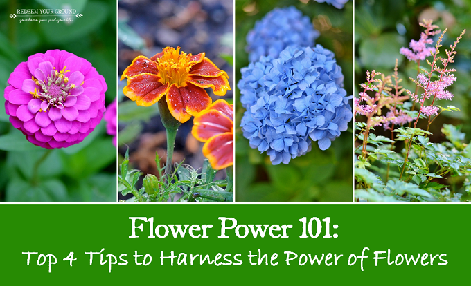 Flower Power 101 - Top 4 Tips to Harness the Power of Flowers - Redeem Your Ground | RYGblog.com