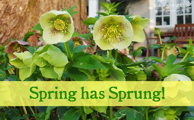 Signs of Spring - Redeem Your Ground | RYGblog.com