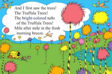Dr. Seuss' Truffula Trees & the Chinese Snowball Viburnum - Redeem Your Ground | RYGblog.com
