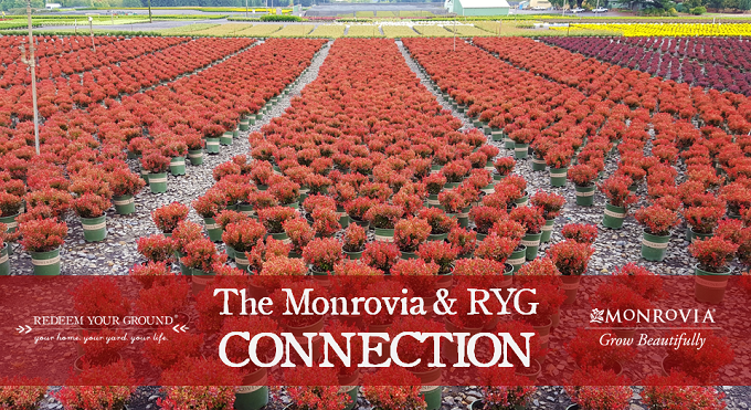 The Monrovia & RYG Connection - Monrovia.com | RedeemYourGround.com