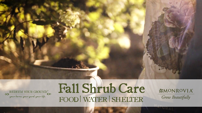 Fall Shrub Care: Food | Water | Shelter - Redeem Your Ground | Monrovia (www.RedeemYourGround.com | www.Monrovia.com)