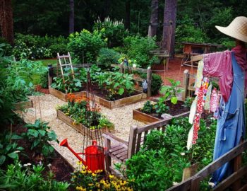 RYG 2016 Year In Review | Family Veggie Garden - Redeem Your Ground | RYGblog.com