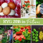 RYG 2016 in Pictures … What a Year It Was!