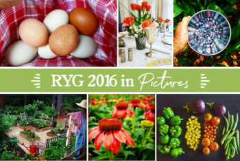 RYG 2016 Year In Review - Redeem Your Ground | RYGblog.com