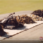 Now’s the Time to Mulch and Here Are Some Options [Video for Exmark]