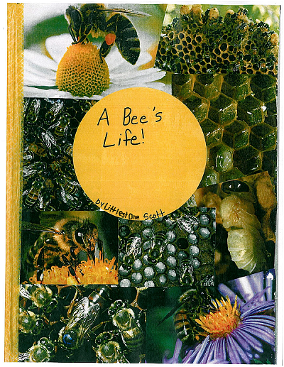 A Bee's Life - Redeem Your Ground | www.RedeemYourGround.com