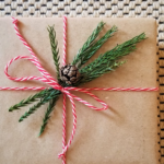 Quick & Easy Holiday Gift Embellishments & Décor – Bringing the “Outside In”