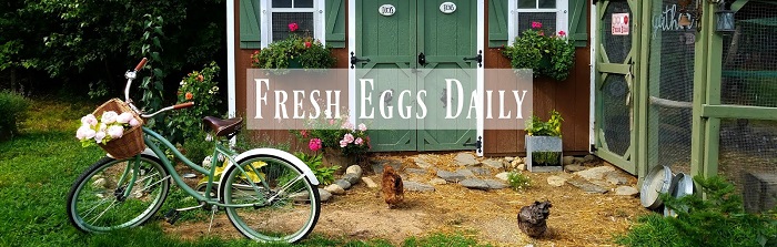 "Let's Hatch Chicks" by Lisa Steele, Fresh Eggs Daily | FreshEggsDaily.com & RedeemYourGround.com