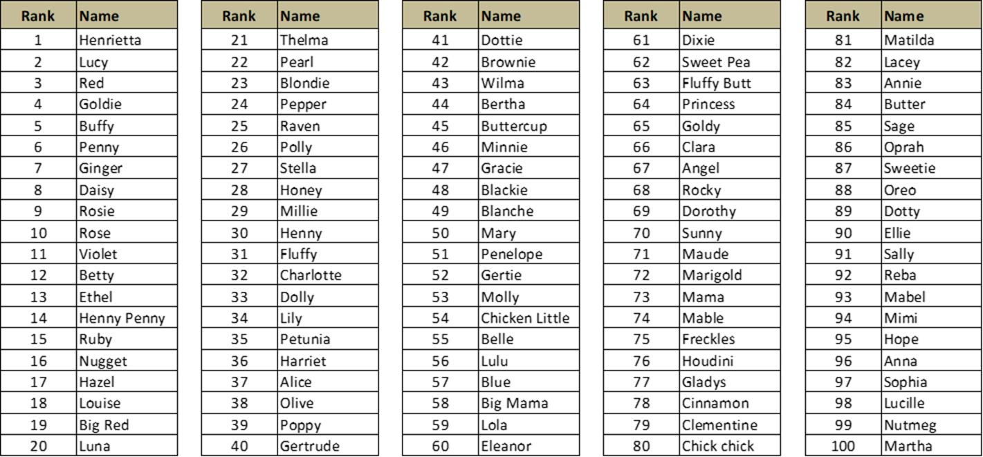 Top Chicken Names Ultimate Backyard Chicken Survey Redeem Your Ground
