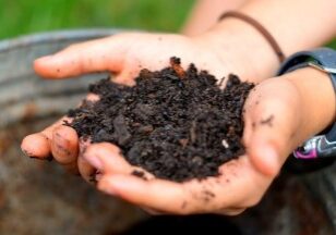 Amending Your Soil - Redeem Your Ground | RYGblog.com